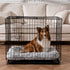 Tall Tails Cuddle Crate Dog Bed - Gray - Medium