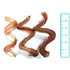 Tuesday's 5" Curly Bully Stick Dog Chew Treats - Single