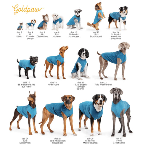 Goldpaw Sun Dog & Cat Sun Protecting Tee - Bees - Size 18