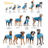 Goldpaw Sun Dog & Cat Sun Protecting Tee - Bees - Size 18