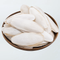 Prevue Pet Products Medium Cuttlebone 5" Assorted Pieces