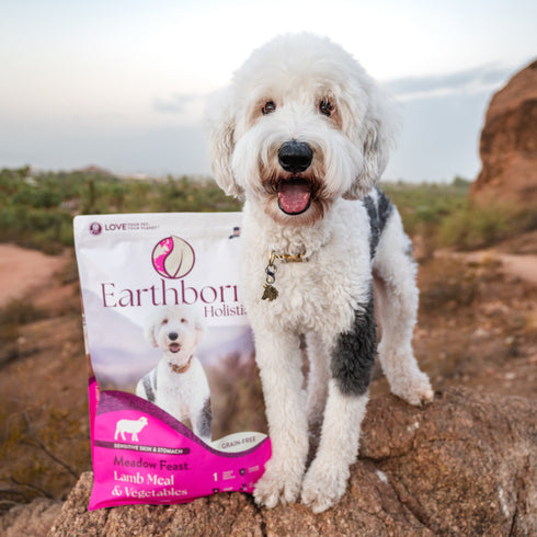 Earthborn Holistic Grain Free Dry Dog Food - Meadow Feast - 25lb Bag