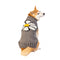 Chilly Dog Knitted Dog Sweater - Small - Daisy