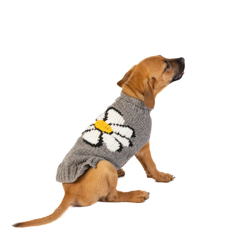 Chilly Dog Knitted Dog Sweater - Small - Daisy