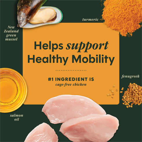 Instinct Raw Boost Mixers Mobility Support Dog Food Topper - Chicken - 5.5oz Pouch