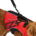 EZYDOG DFD X2 Boost Dog Life Jacket - X-Small 15-25lbs - Red