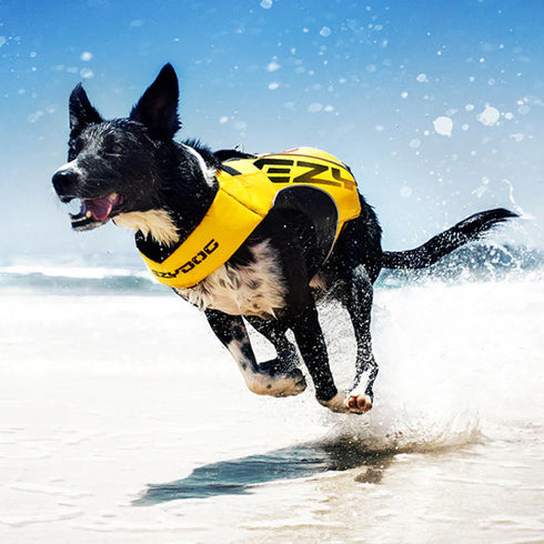 EZYDOG DFD X2 Boost Dog Life Jacket - X-Small 15-25lbs - Yellow