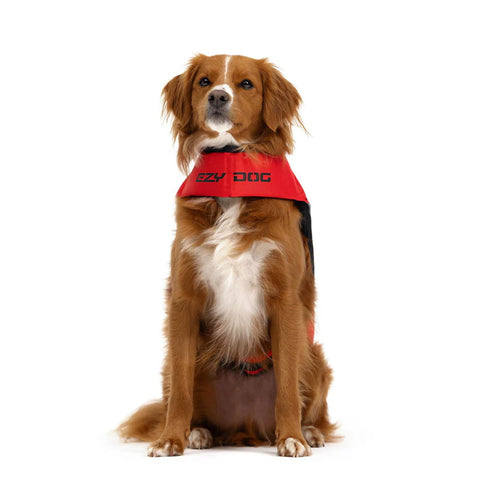 EZYDOG DFD X2 Boost Dog Life Jacket - X-Small 15-25lbs - Red