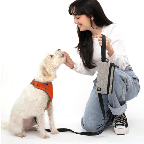 Cleverpup Porter Dog Gear Backpack - Heather Grey