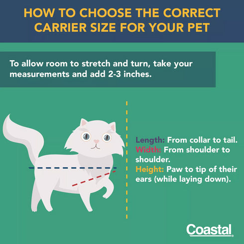 COASTAL PET Bergan Cat Carrier with window - Poudre Pet and Feed Supply