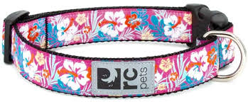 RC Pets Standard Dog Collar - XS 5/8" - Hibiscus