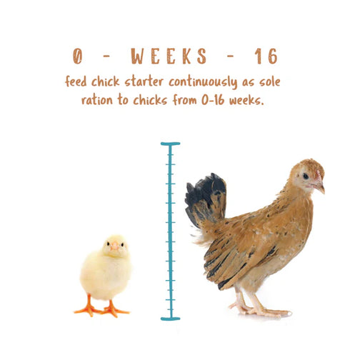 Manna Pro Non Medicated Chick Starter - 5lb Bag