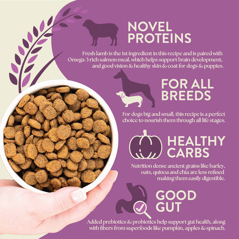 Earthborn Holistic Ancient Grains Dry Dog Food - Unrefined Roasted Lamb - 4lb Bag