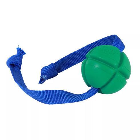 Coast Pet Products PetKORE FloTex Tug Dog Toy - Medium - Green