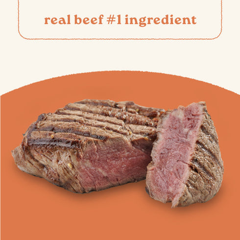 Canidae All Life Stages Chunky Stew Toppers Wet Dog Food - Beef & Veggie - 12oz Can