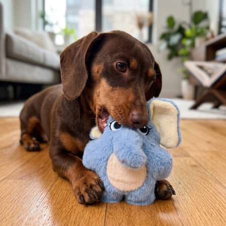 Kong Spring Snuzzles Kiddos Elephant Dog Toy - Small