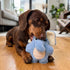 Kong Spring Snuzzles Kiddos Elephant Dog Toy - Small