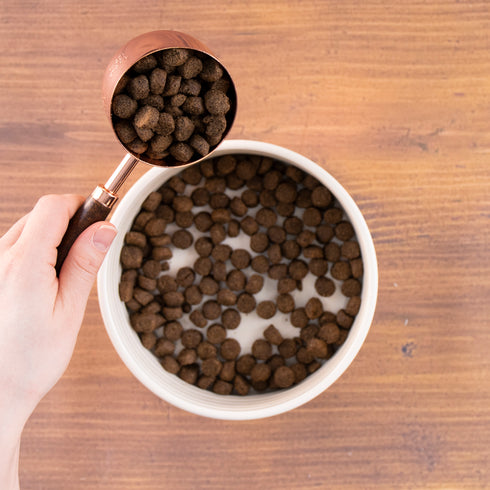 Wholesomes Sensitive Skin & Stomach Dry Dog Food - Lamb - 30lb Bag