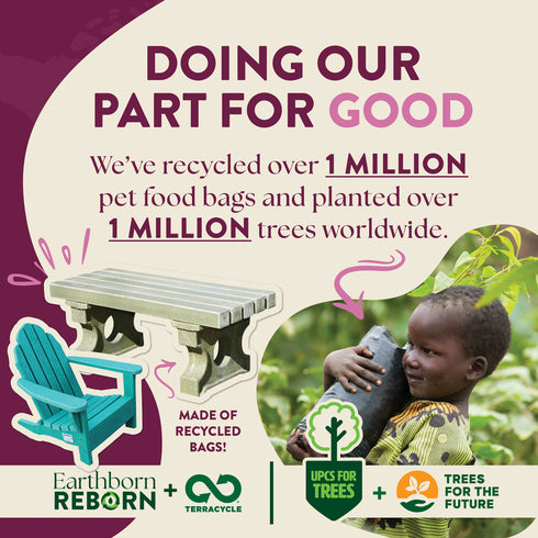 Earthborn Holistic Venture Limited Ingredient Dry Dog Food - Rabbit & Pumpkin - 25lb Bag