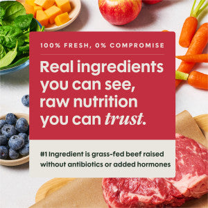 Instinct FreshRaw Meals Frozen Raw Dog Food - Beef - 8oz Package