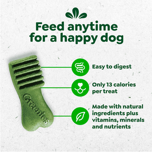 Greenies Anytime Bites Dog Treats - Original Flavor - 10.3oz/65 Chewy Treats