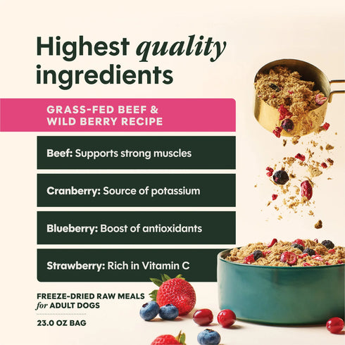 Instinct FreshDried Freeze Dried Dog Food - Beef & Berry Blend - 23oz Bag