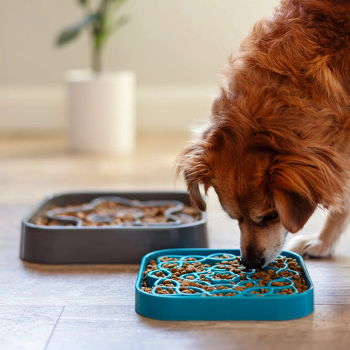 Messy Mutts Slow Feeder Square Dog Bowl - Blue - 2 Cup Capacity