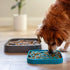 Messy Mutts Slow Feeder Square Dog Bowl - Blue - 2 Cup Capacity