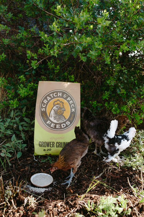 Scratch & Peck Organic Grower Crumbles for Chicken & Ducks - 35lb Bag