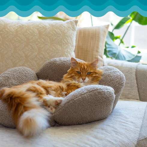 Catstages Purrfect Petals Cat Bed - Tan