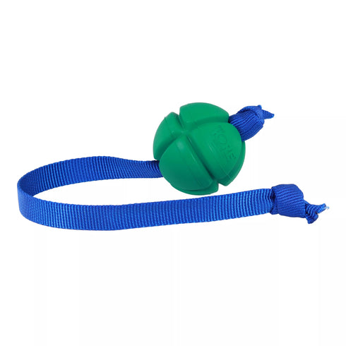 Coast Pet Products PetKORE FloTex Tug Dog Toy - Medium - Green