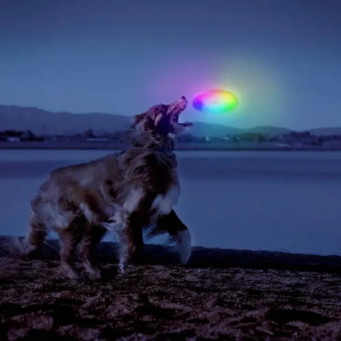 Niteize Flashlight Dog Discuit LED Flying Disc Dog Toy