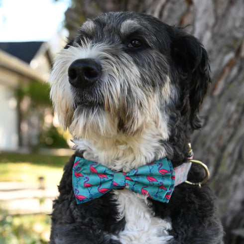 Huxley & Kent Bow Tie Small Flamingo