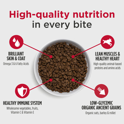 Nulo Challenger High Protein Puppy & Adult Dry Dog Food - Beef, Lamb, & Pork - 24lb Bag