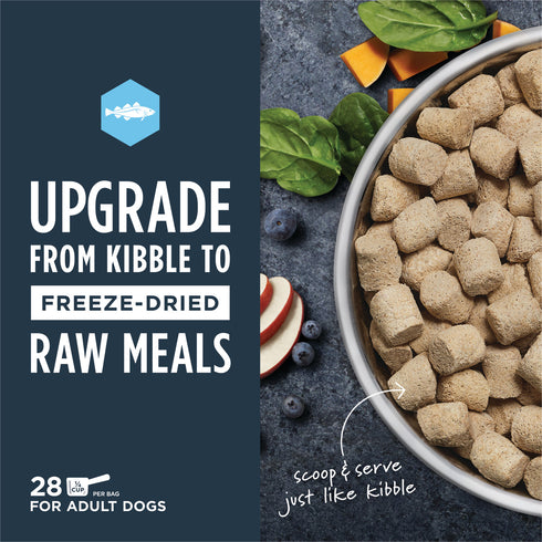 Instinct Raw Meals Freeze Dried Dog Food - Pollock - 14oz Bag