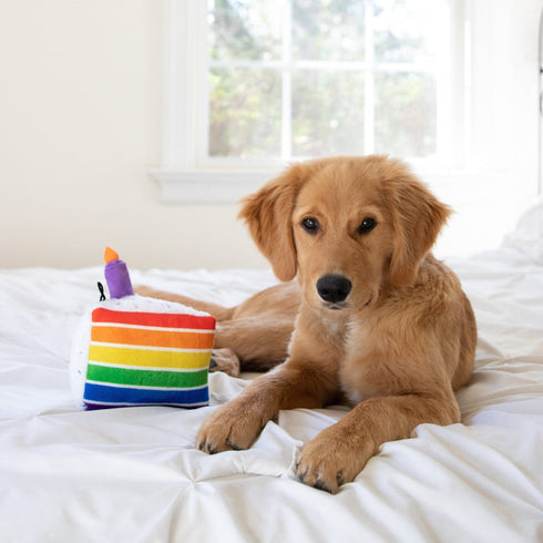 Huxley & Kent Dog Toy Large Funfetti Cake