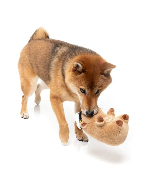 Fuzzyard Capy-Tain Plush Dog Toy