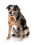 Fuzzyard Capy-Tain Plush Dog Toy