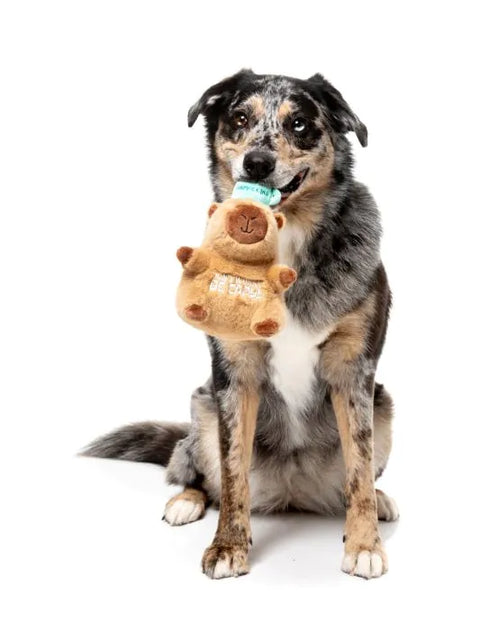 Fuzzyard Capy-CCino Plush Dog Toy