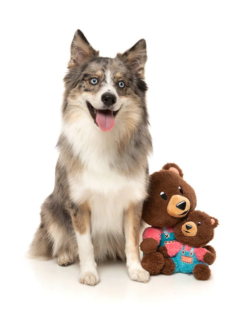 Fuzzyard Fuzz Bear Large Plush Dog Toy