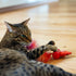 Catstages RAcin' Squirrel Robot Toy