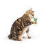 Huxley & Kent Meh' Christmas Kitty Flinger Cat Toy