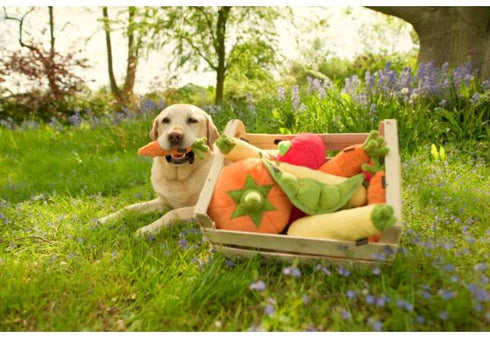 P.L.A.Y. Garden Fresh Carrot Mini Plush Dog Toy