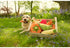 P.L.A.Y. Garden Fresh Carrot Mini Plush Dog Toy