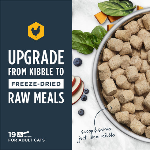 Instinct Raw Meals Freeze Dried Cat Food - Cage-Free Chicken - 9.5oz Pouch