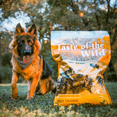 Taste of the Wild High Prairie Dry Dog Food - Roasted Bison & Venison - 14lb Bag