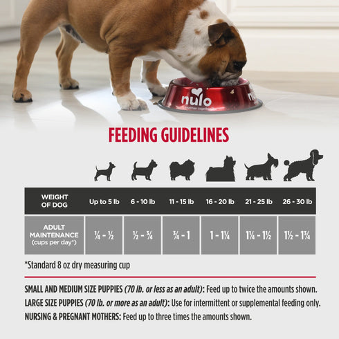 Nulo Challenger Small Breed Dry Dog Food - Haddock, Salmon & Acadian Redfish, 4.5lb Bag