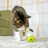 Giddy Kitty Purrkleball Treat Ball Cat Toy