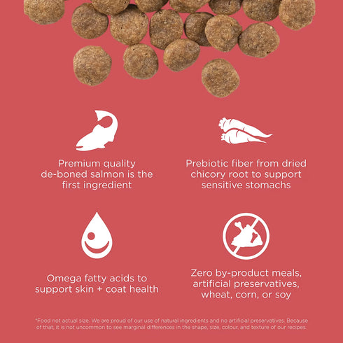 Go! Limited Ingredient Dry Dog Food - Salmon - 22lb Bag