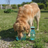 Olly Dog OllyBottle Dog Water Bottle - 600ml - Aqua Blue